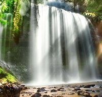Mount Field Private Charter Service - Accommodation Brisbane