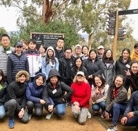 Bonorong Wildlife Volunteer Tour - Accommodation Brisbane