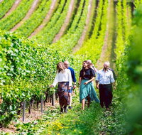 Hobart Highlights of Tasmanian Wine Full Day Tour - Accommodation Brisbane
