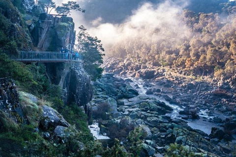 3.5 Hours Walking Tour To Cataract Gorge With Local Guide - Accommodation Brisbane 0