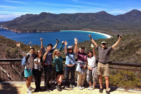 Half-Day Tour To Wineglass Bay From Launceston With Guide - Accommodation Brisbane 5