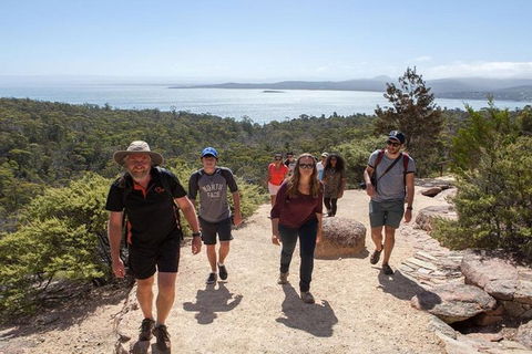 Half-Day Tour To Wineglass Bay From Launceston With Guide - Accommodation Brisbane 4