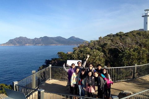 Half-Day Tour To Wineglass Bay From Launceston With Guide - Accommodation Brisbane 3