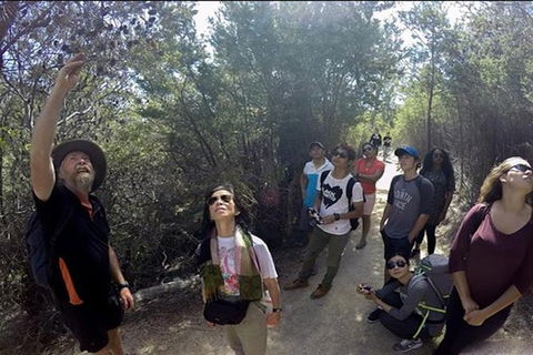 Half-Day Tour To Wineglass Bay From Launceston With Guide - Accommodation Brisbane 1