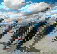 3.5 Hours Walking Guided Tour of Launceston Highlights - Accommodation Brisbane