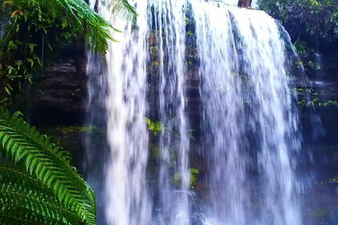 Hobart Minibus Full-Day Private Tour - Accommodation Brisbane 5