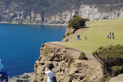 Hobart Minibus Full-Day Private Tour - Accommodation Brisbane 1