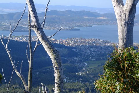 Mt. Wellington Morning Hike + Afternoon Beer & History Walk - Accommodation Brisbane 10