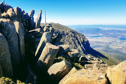 Mt. Wellington Morning Hike + Afternoon Beer & History Walk - Accommodation Brisbane 11