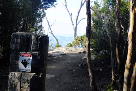 Mt. Wellington Morning Hike + Afternoon Beer & History Walk - Accommodation Brisbane 14
