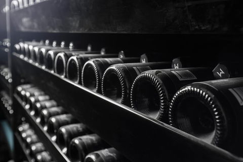 Private Winery Tour And Tasting In Moorilla And Mona Museum - Accommodation Brisbane 3
