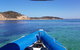 Dolphin And Seal Watching Eco Boat Cruise Mornington Peninsula - thumb 3