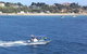 Dolphin And Seal Watching Eco Boat Cruise Mornington Peninsula - thumb 14