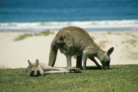 LGBT+ Friendly 12-Hour Great Ocean Road Private Tour - Accommodation Brisbane 3