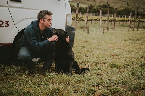 Daylesford Private, Corporate, Group Wine Tours: Wine, Cider, Gin, Vodka, Port! - Accommodation Brisbane 3