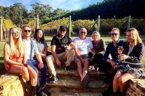 Daylesford Private, Corporate, Group Wine Tours: Wine, Cider, Gin, Vodka, Port! - Accommodation Brisbane 1