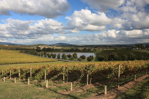 LGBT+ Friendly Full Day Yarra Valley & Dandenong Ranges Private Tour - Accommodation Brisbane 0