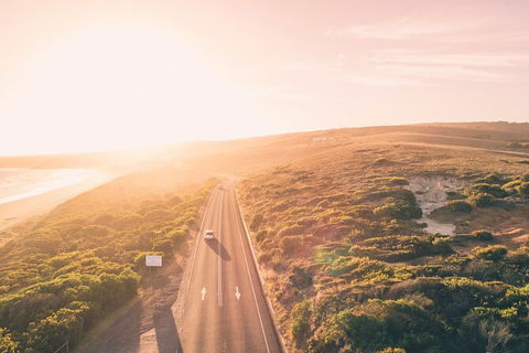 LGBT+ Friendly 2 Day Private Great Ocean Road Tour - Accommodation Brisbane 1