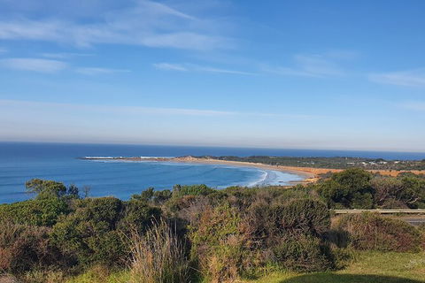 Private Great Ocean Road And Chocolaterie Tour With Tasting - Accommodation Brisbane 5