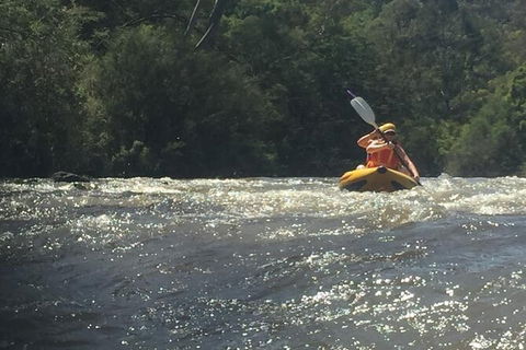 Yarra River Half-Day Rafting Experience - Accommodation Brisbane 5