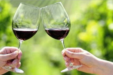 Yarra Valley Premium Tour Inc Lunch And Cheese And Wine Pairing At De Bortoli - Accommodation Brisbane 4