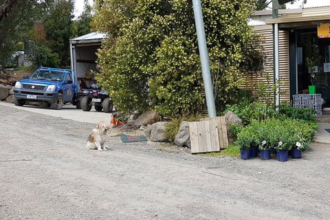 Yarra Valley Wineries And Rayners Orchard Tour From Melbourne - Accommodation Brisbane 8