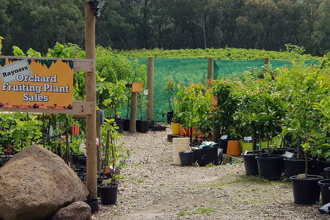 Yarra Valley Wineries And Rayners Orchard Tour From Melbourne - Accommodation Brisbane 0