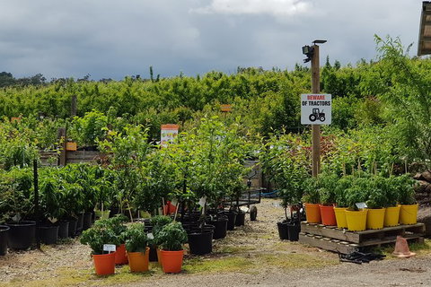 Yarra Valley Wineries And Rayners Orchard Tour From Melbourne - Accommodation Brisbane 22