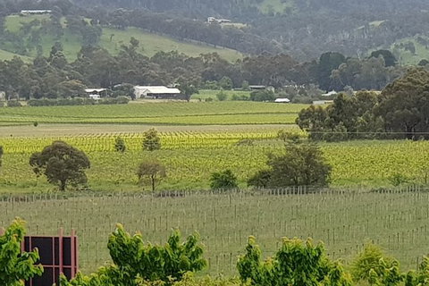 Yarra Valley Wineries And Rayners Orchard Tour From Melbourne - Accommodation Brisbane 2