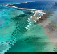 Shipwreck Special Full Day Tour of the Abrolhos Islands - Accommodation Brisbane