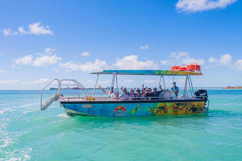 Dinosaur Adventure Tour - Accommodation Brisbane 3