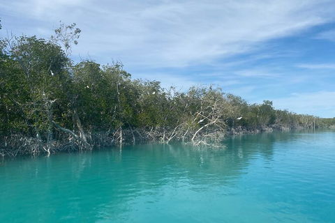 Dinosaur Adventure Tour - Accommodation Brisbane 12