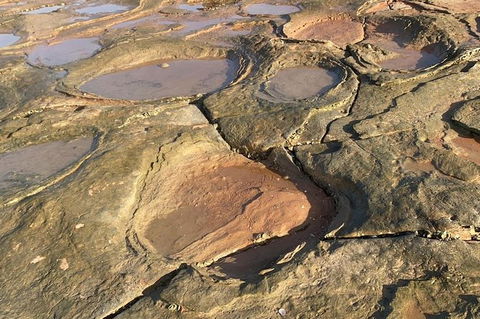 Dinosaur Adventure Tour - Accommodation Brisbane 7