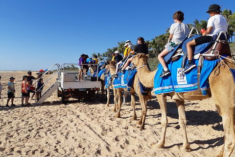 Broome Pre-sunset Camel Tour 30 Minutes - Accommodation Brisbane 4