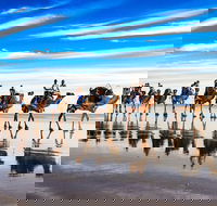 Broome Pre-sunset Camel Tour 30 minutes - Accommodation Brisbane