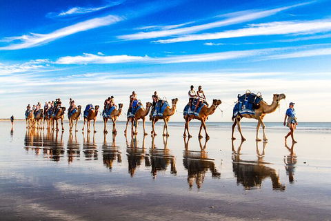 Broome Pre-sunset Camel Tour 30 Minutes - Accommodation Brisbane 0