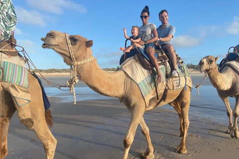 Broome Pre-sunset Camel Tour 30 Minutes - Accommodation Brisbane 2