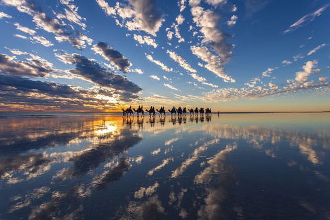Broome Pre-sunset Camel Tour 30 Minutes - Accommodation Brisbane 1