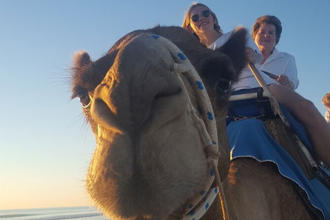 Broome Pre-sunset Camel Tour 30 Minutes - Accommodation Brisbane 5
