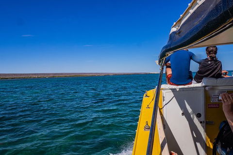 Ningaloo Immersion Private Charter - Accommodation Brisbane 0