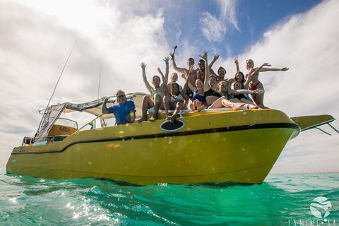 Ningaloo Immersion Private Charter - Accommodation Brisbane 9