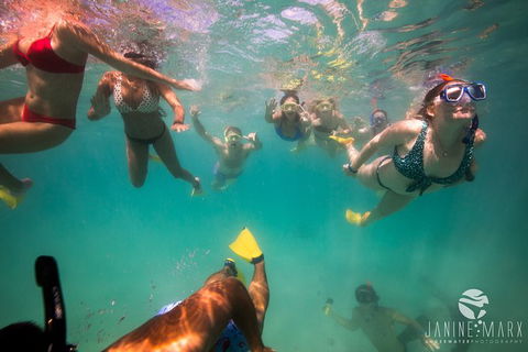 Ningaloo Immersion Private Charter - Accommodation Brisbane 8