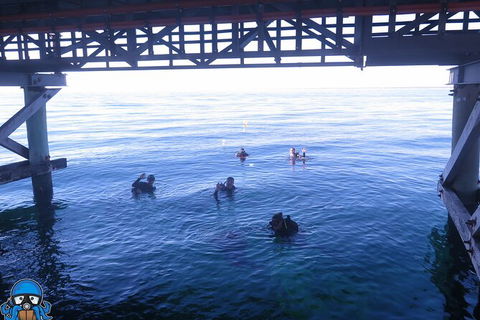 PADI Open Water Course - Accommodation Brisbane 3
