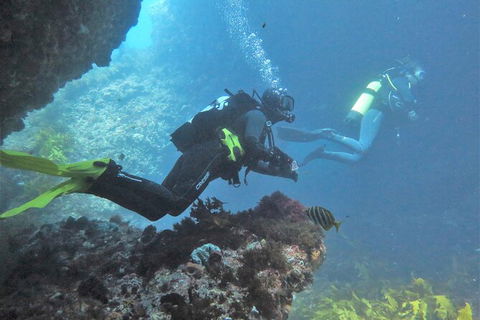 PADI Open Water Course - Accommodation Brisbane 2