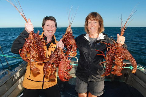 Abrolhos Islands 5 Day Tours - Accommodation Brisbane 1