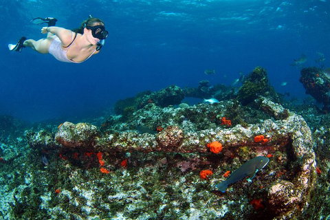 Abrolhos Islands 5 Day Tours - Accommodation Brisbane 3