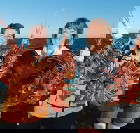 Abrolhos Islands 5 Day Tours - Accommodation Brisbane