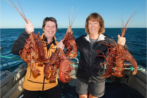 Abrolhos Islands 5 Day Tours - Accommodation Brisbane 0