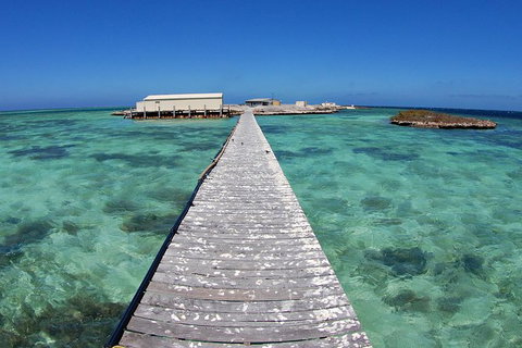Abrolhos Islands 5 Day Tours - Accommodation Brisbane 4