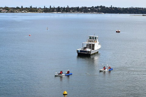 Cliffs And Caves Kayak Tour In Swan River - Accommodation Brisbane 5